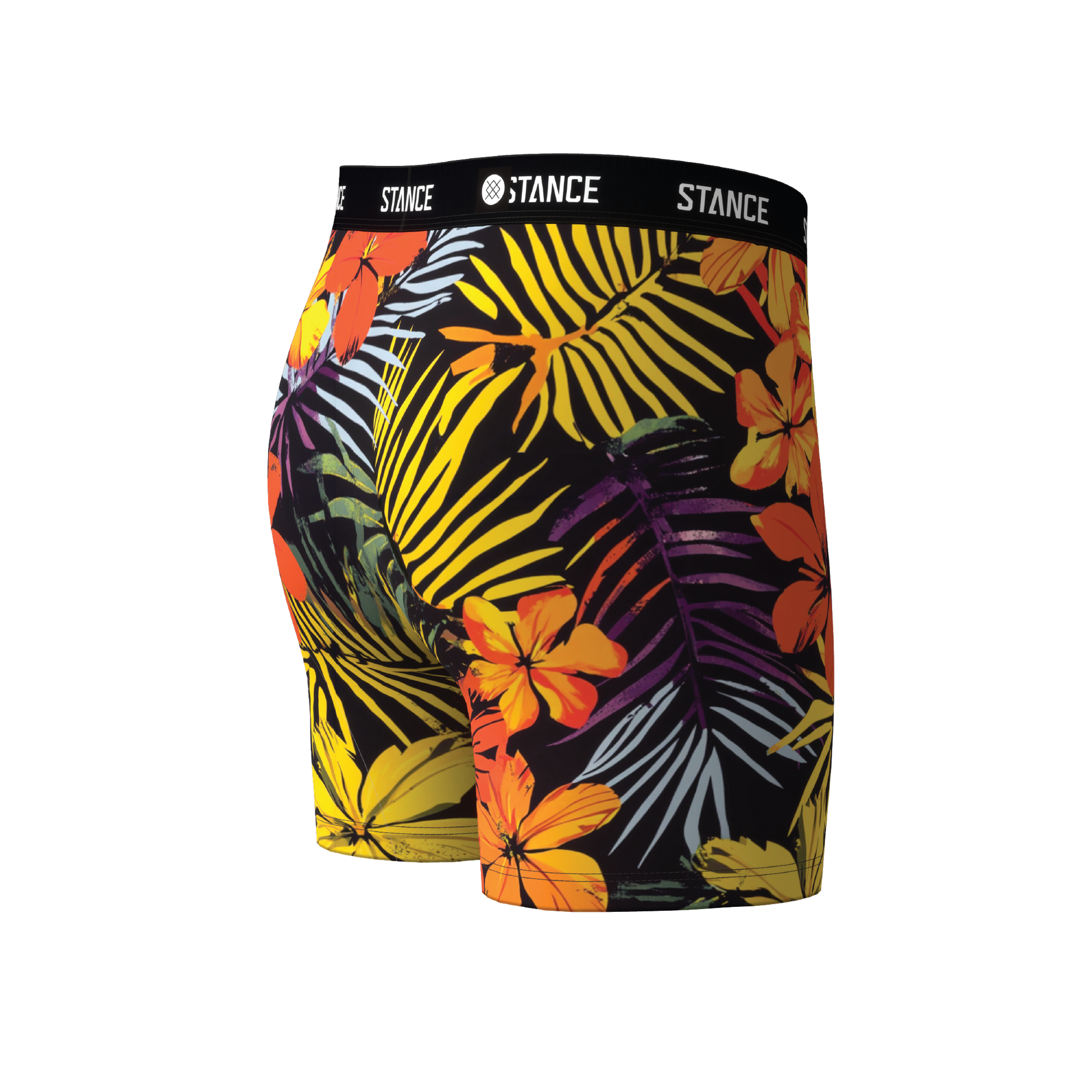 Stance BOYS POIPU BOXER BRIEF