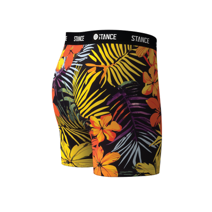 Stance BOYS POIPU BOXER BRIEF